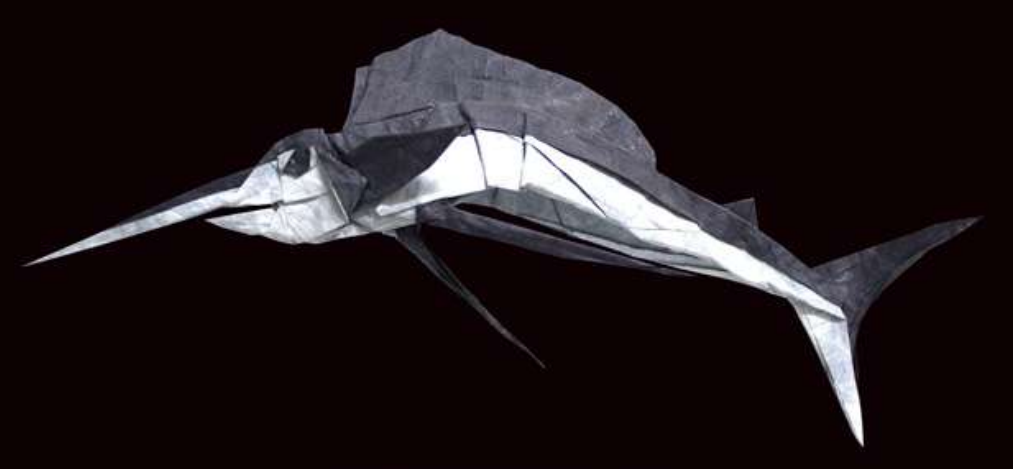 Sailfish