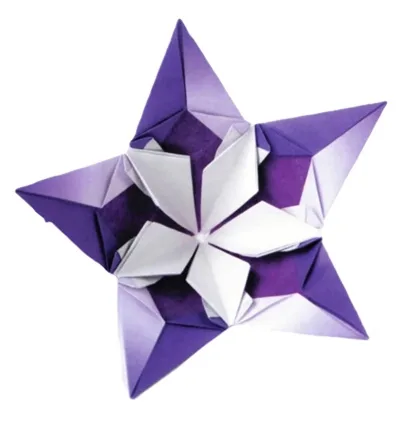 Sparaxis Flower