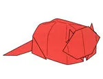 Boxlike cat