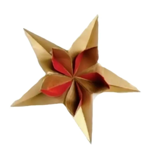 Flower star