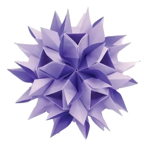 Radiant flower