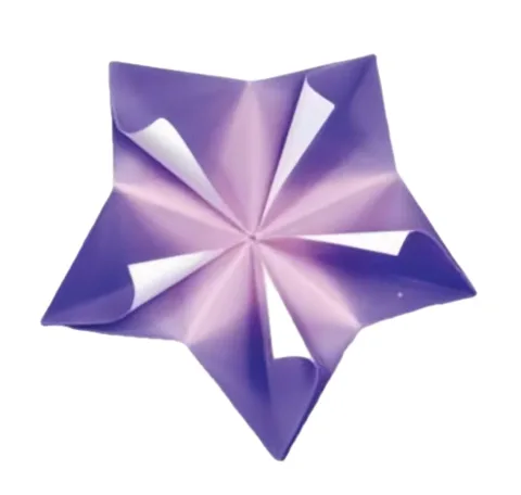 Windflower stars