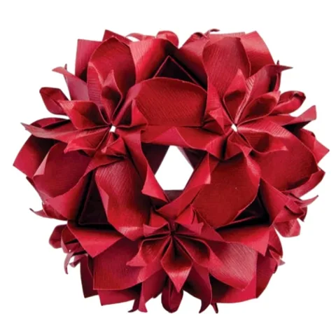 Celestina flower variation