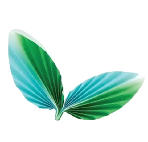 Leaf