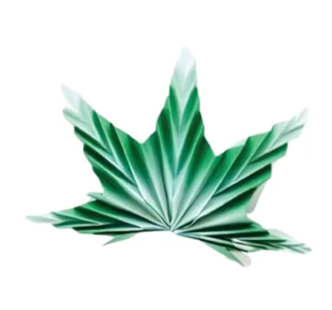 Maple Leaf