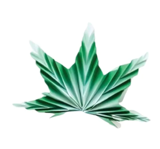 Maple Leaf
