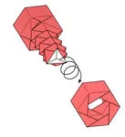 Nut and bolt