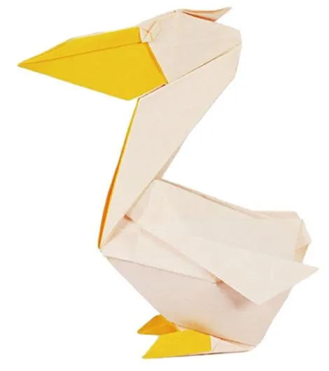 Pelican