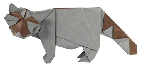 Raccoon type A
