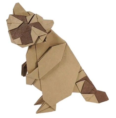 Raccoon type B