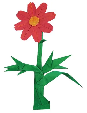 Cosmos
