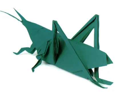 Grasshopper