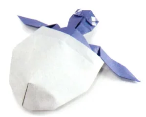 Hatching sea turtle
