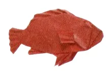Red snapper