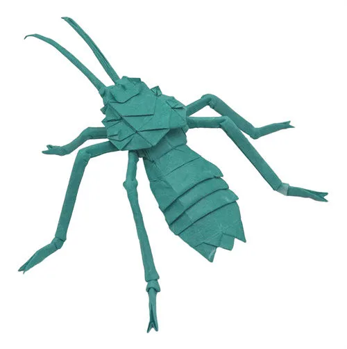 Armored cricket