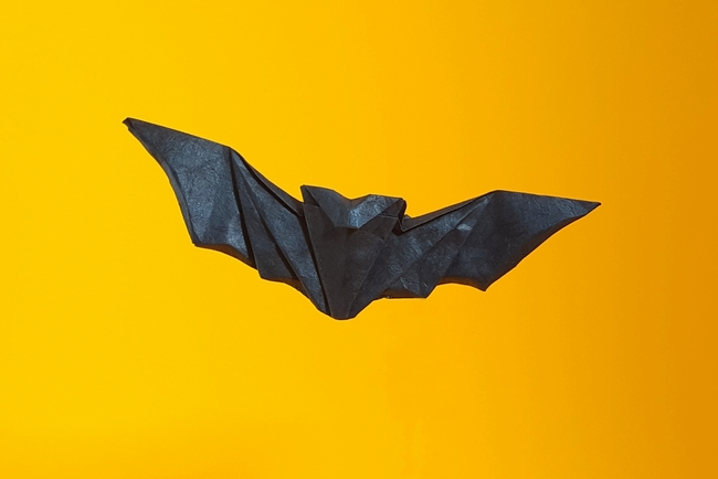 Vampire bat