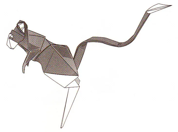 Kangaroo rat