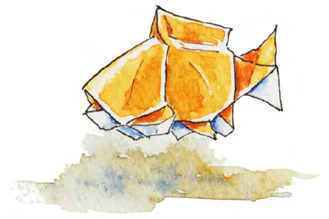 Fish