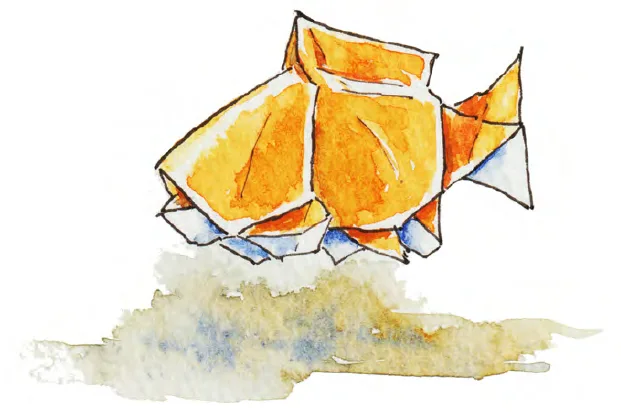 Fish