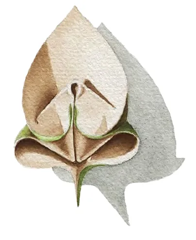 Leaf prayer