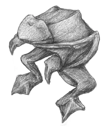 Frog