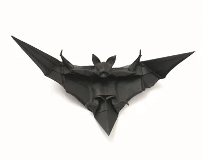 Bat