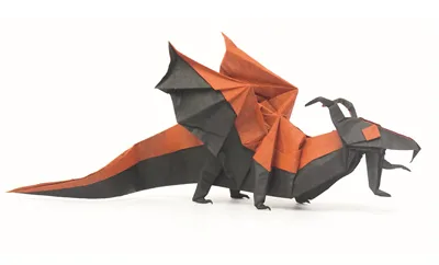 Little dragon