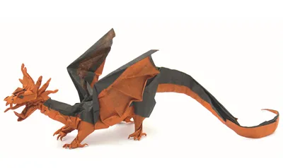 Vicious little dragon