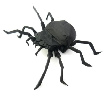 Spider
