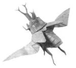 Kabuto beetle