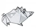 Wild boar