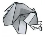 Elephant - acrobatic