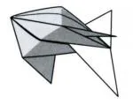 Inflatable fish