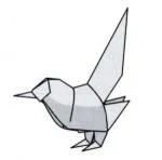 Long-tailed bird