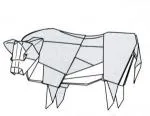 Hereford steer