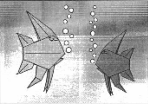 Angelfish