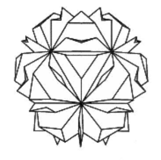Virus