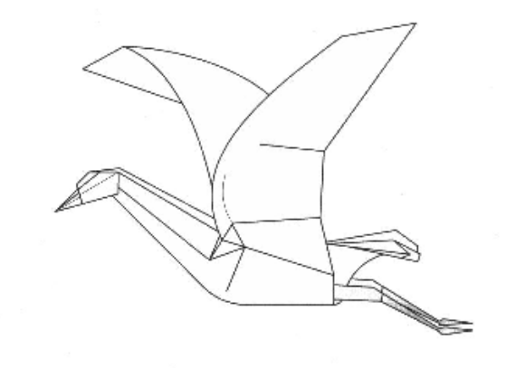 Goose in flight
