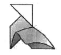 Pajarita with a cape