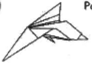 Pigheaded pajarita