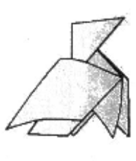 Winged pajarita