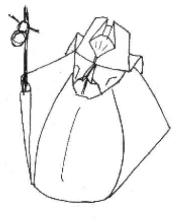 Xacobino