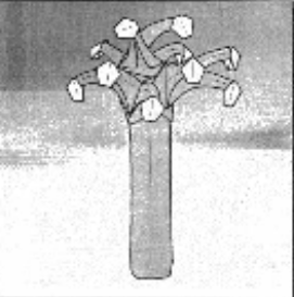 Tree with leaves