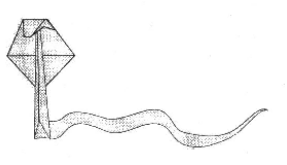 Cobra