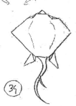 Ray