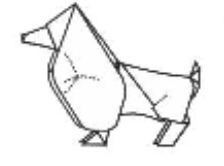 Basset hound