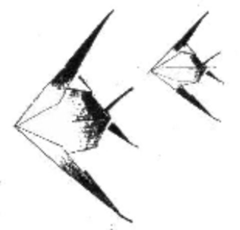 Angelfish