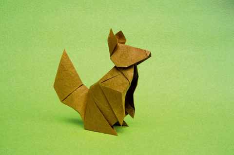 Squirrel
