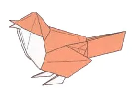 Robin