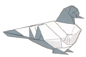 Pigeon